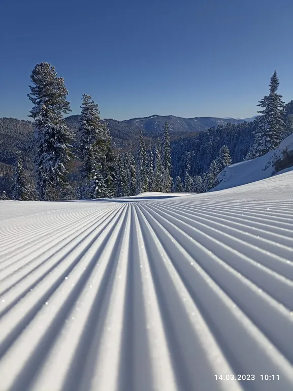 Гостевой дом Белый олень на Телецком озере