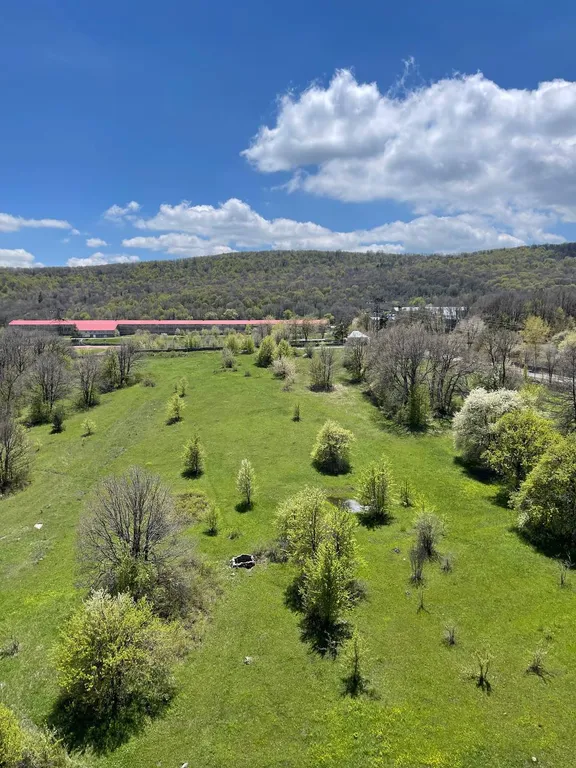 Уютные апартаменты в самом живописном месте Цахкадзора