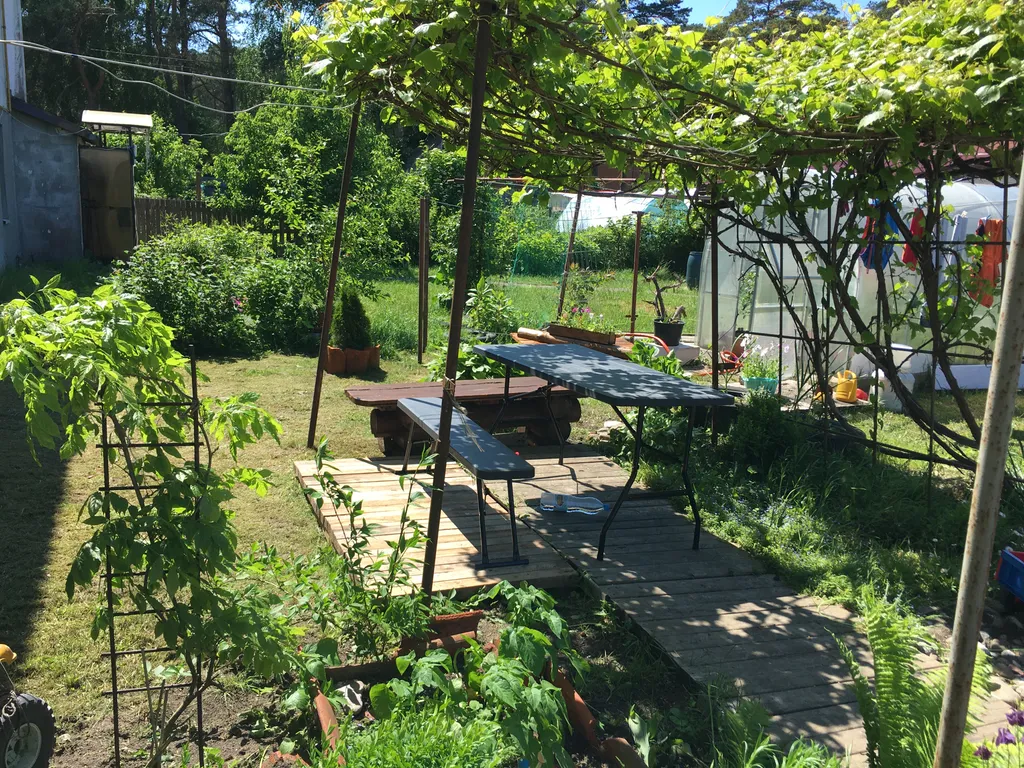 Квартира у моря на Куршской косе