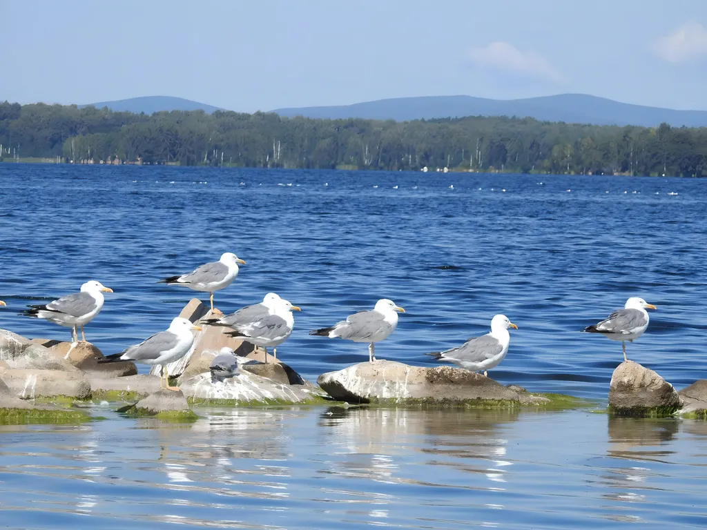 Дом-дача дизайнера на озере Увильды
