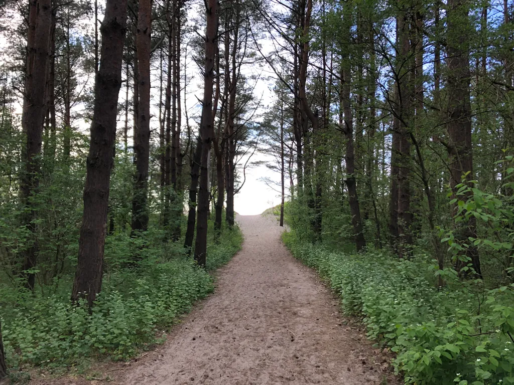 Коттедж Уютный дом у моря — Зеленоградск