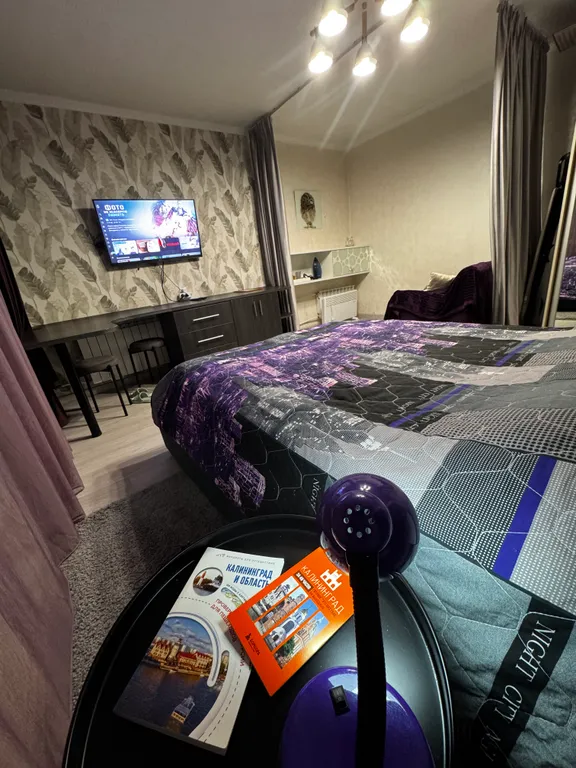 Однокомнатная квартира в историческом районе Амалиенау