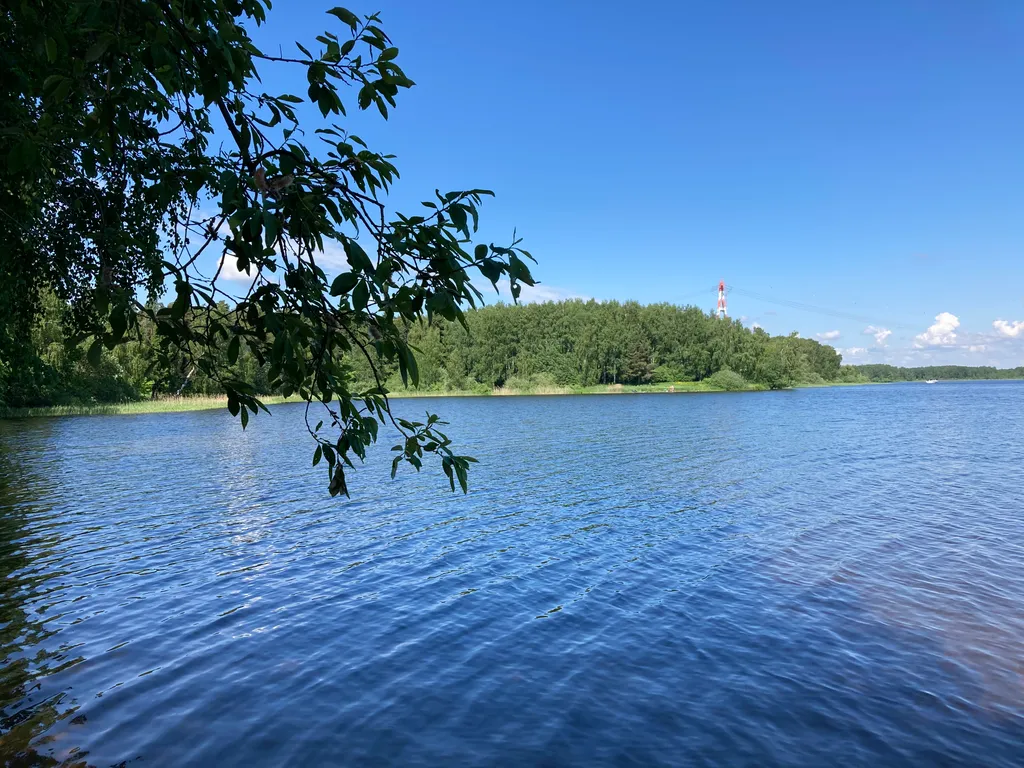 Коттедж Коттедж Новый барнхаус с баней — Манюхино
