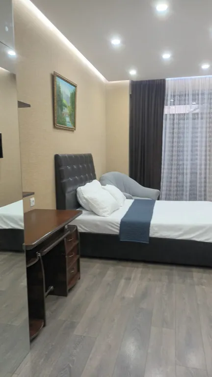 Комфортная квартира с балконом в центре Тбилиси