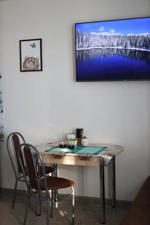 Уютная студия с видом на реку Иртыш