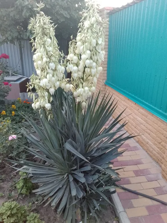 Квартира Комната — Феодосия