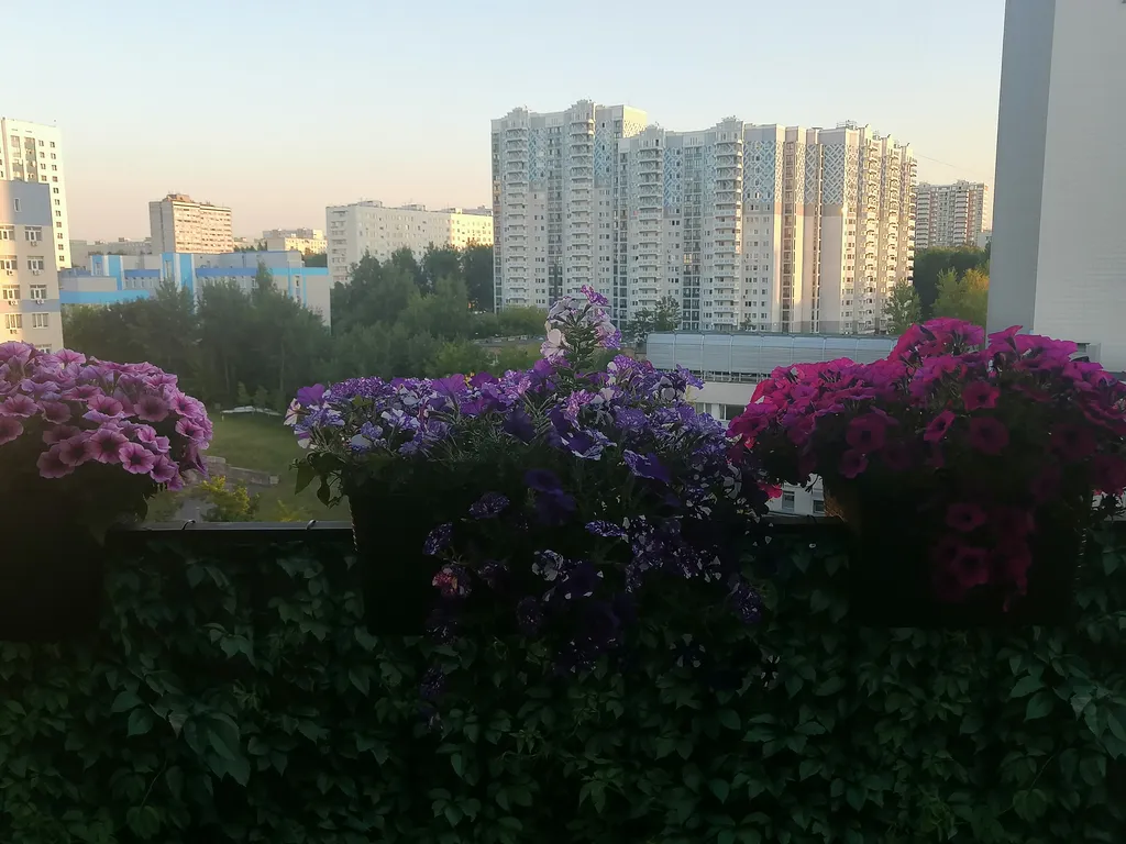 Квартира Уютные апартаменты с балконом — Москва