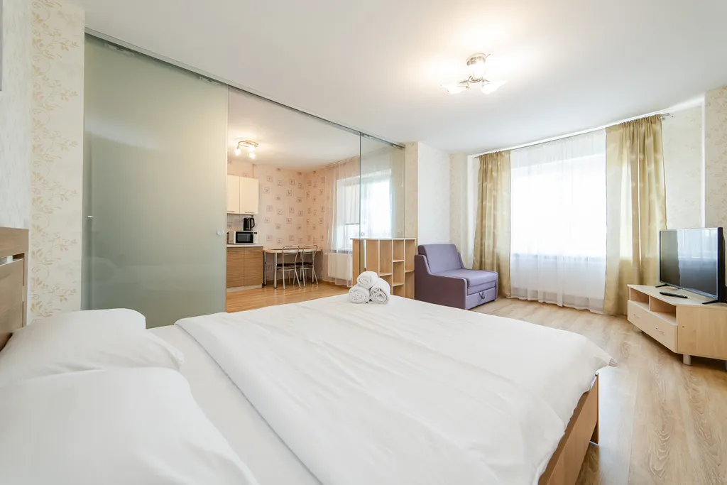 1-комнатная квартира Минск Мир