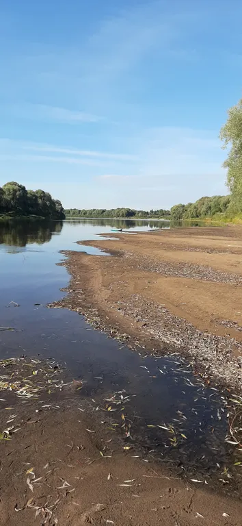 Загородный дом для семейного отдыха или для большой компании