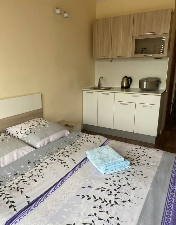 Студия с прекрасным видом