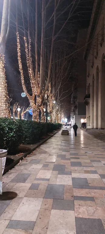 Просторный апартамент возле парка в центре Ваке