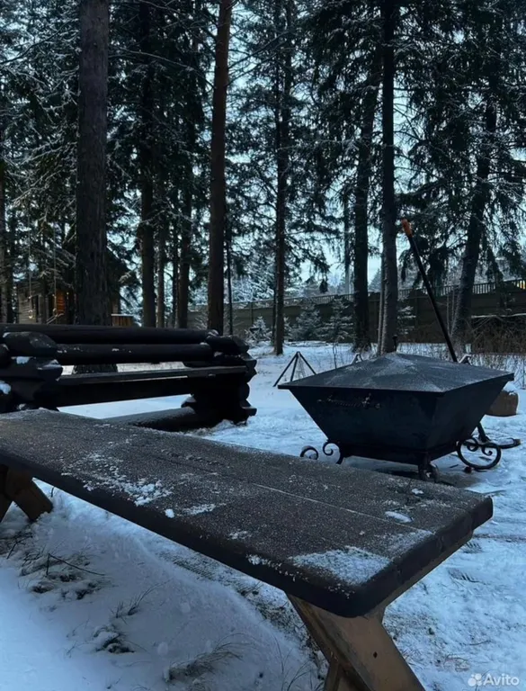 Коттедж с сауной на участке с хвойным лесом поблизости от Красноярска