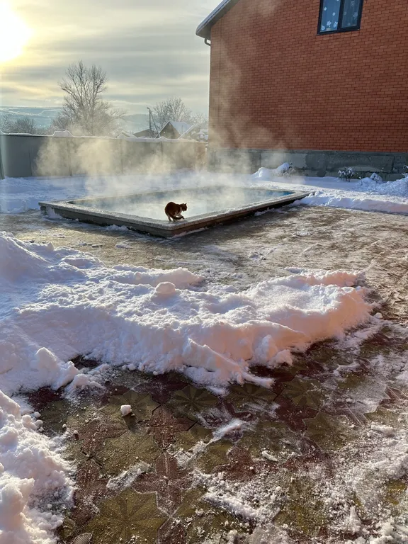 В гостях у Магомеда