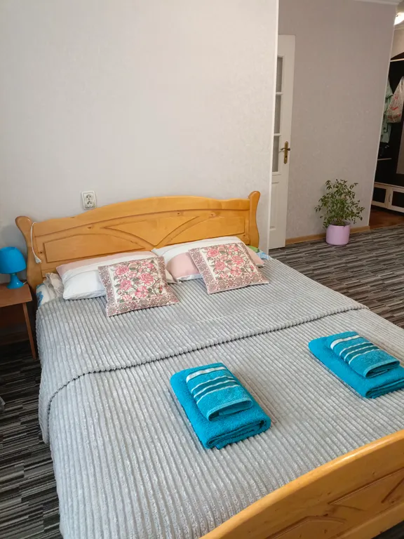 Квартира у Южного вокзала — аренда посуточно в Калининград