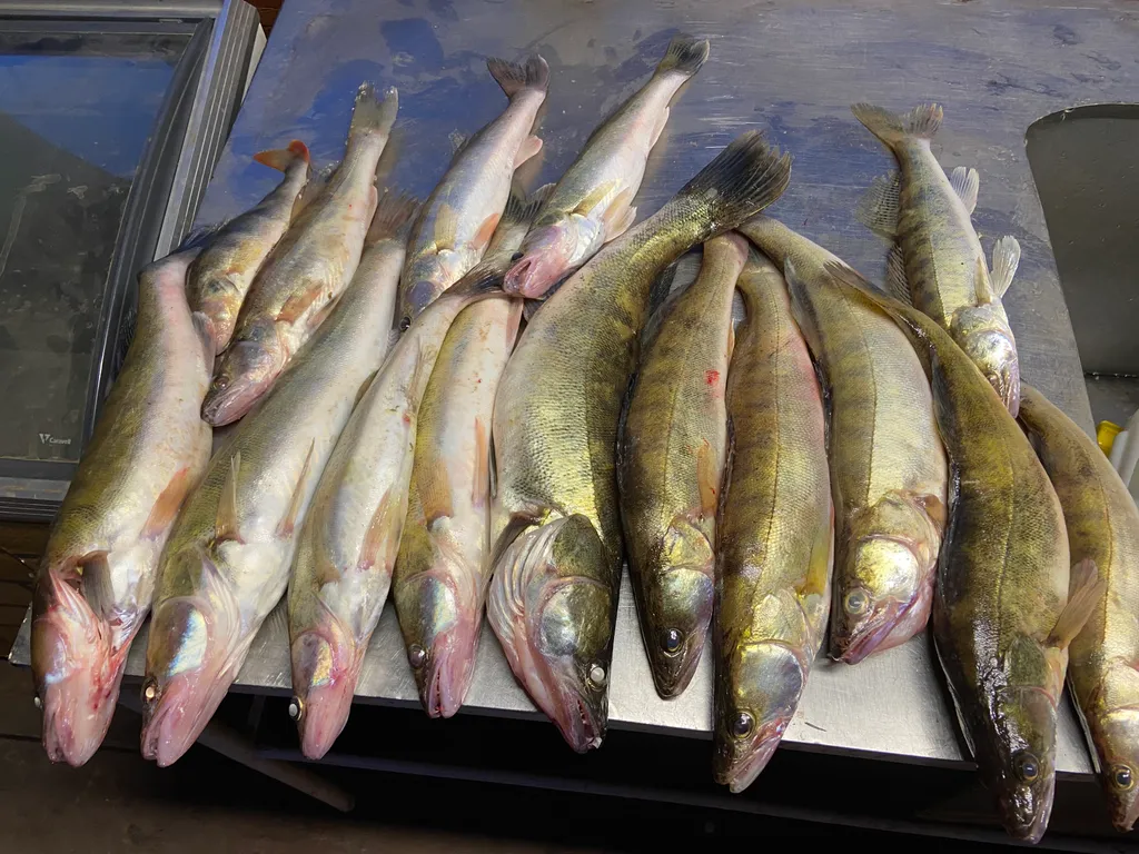 Дом ранчо рыбака