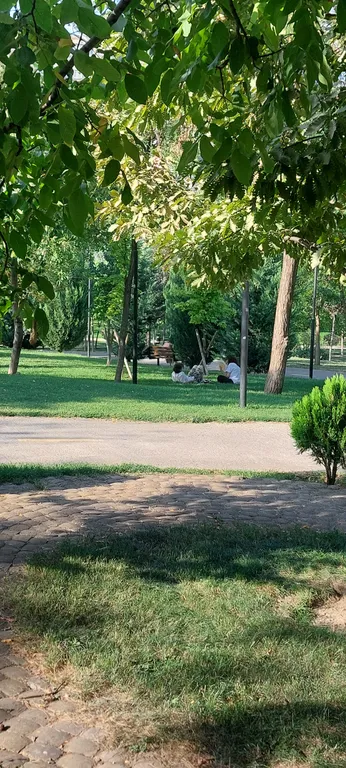 Просторный апартамент возле парка в центре Ваке