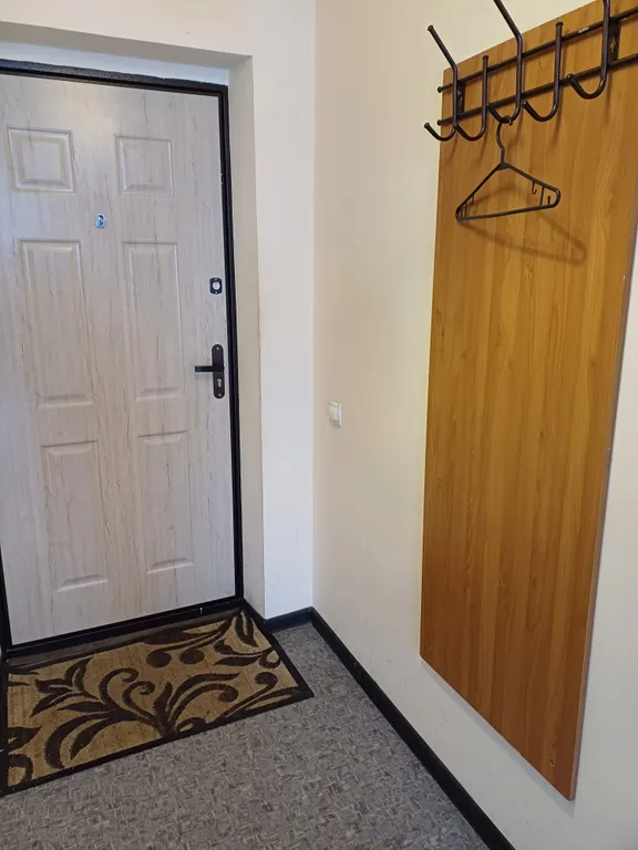 Уютная студия в Автозаводском районе