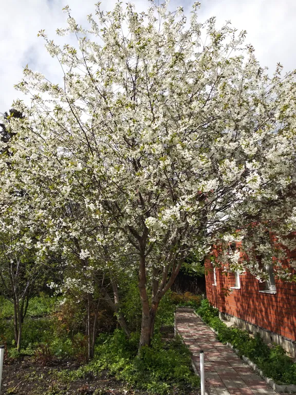 Дом для семейного отдыха с баней на дровах