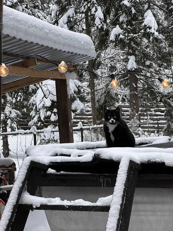 Коттедж Забудьте о городе, ваш лесной дом для тихого отдыха ждет вас — Истра