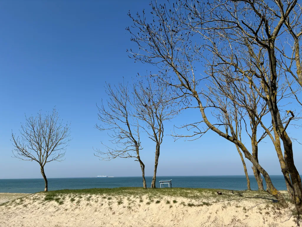 Квартира на берегу моря