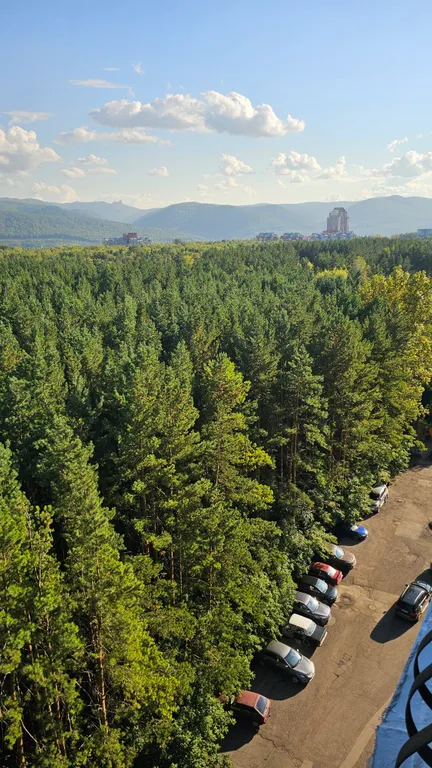 1к люкс в сосновом бору