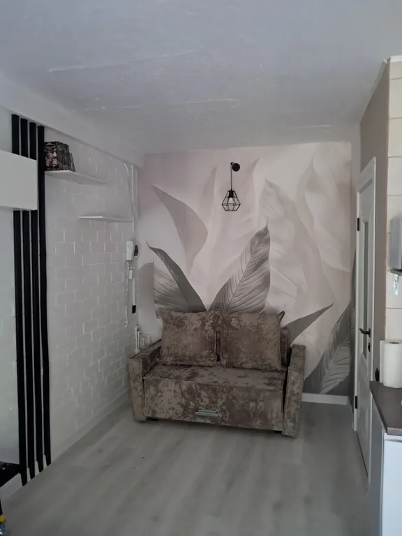 Комната-студия с отдельным входом