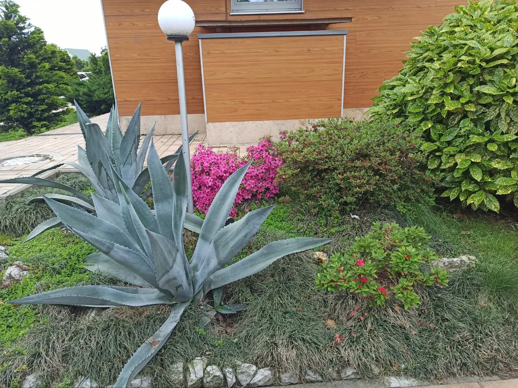 Квартира у моря в ЖК Каравелла Португалии