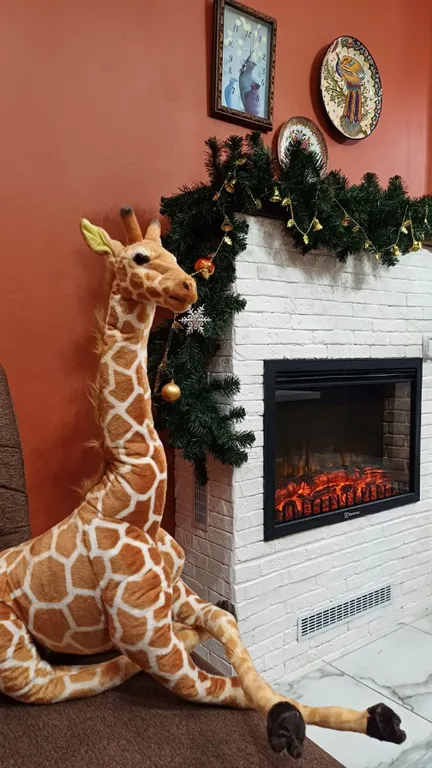 Апартаменты на пяти углах