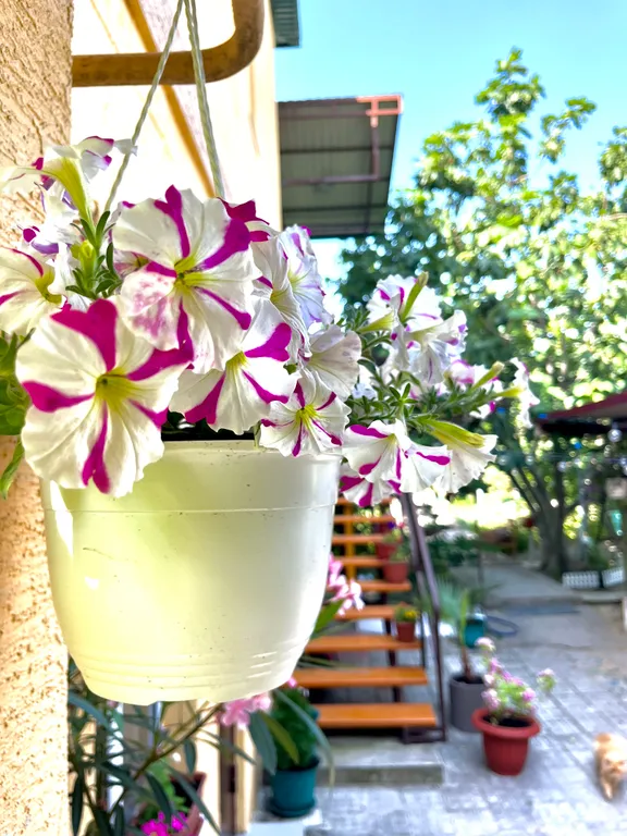 Уютные апартаменты  в шаговой доступности к морю