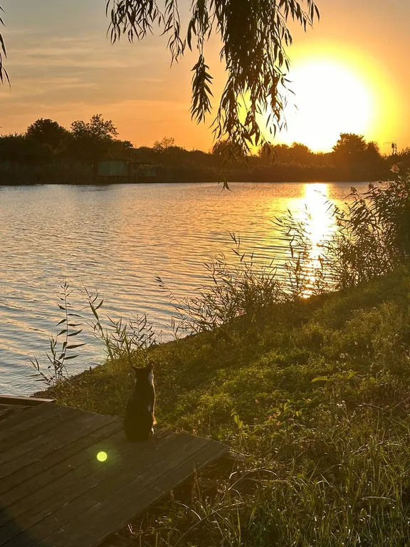 Новый дом-сруб у реки в живописном месте, баня, банный чан, рыбалка