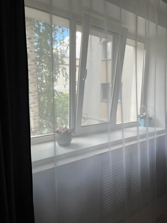 Центр, Славянский базар, медуниверситет