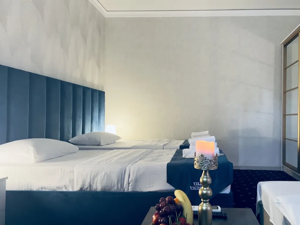 Стандарт Твин