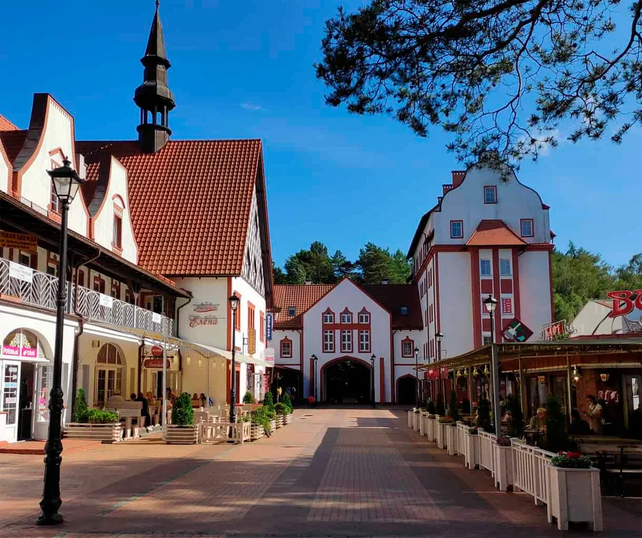 Квартира Квартира с камином и зоной барбекю — Светлогорск