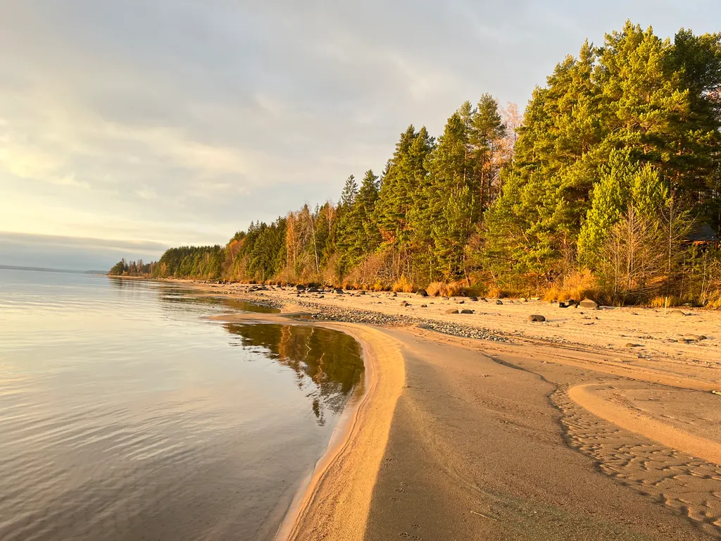 Коттедж Коттедж на озере Волго на Селигере в сосновом бору — Турбаза Чайка