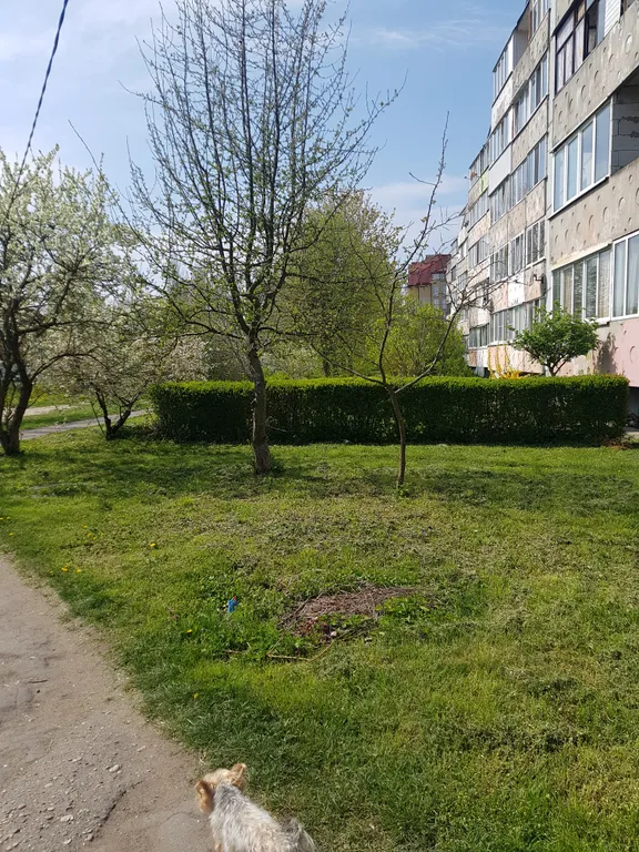 Уютная квартира недалеко от моря