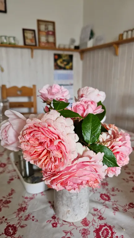 Агроусадьба Лесная Паулинка