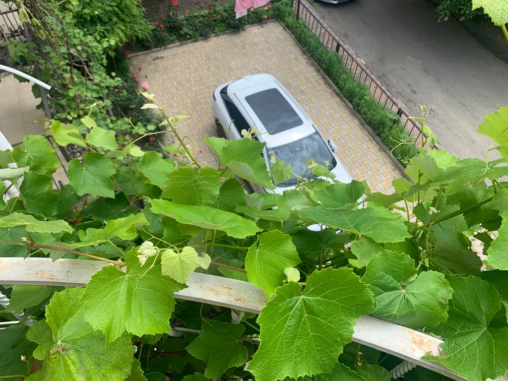 Комната для кратковременного проживания