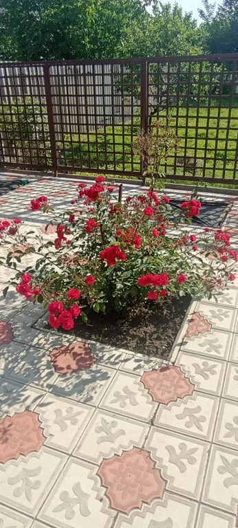 Коттедж 2-комнатный Дом — аренда посуточно в Владикавказ