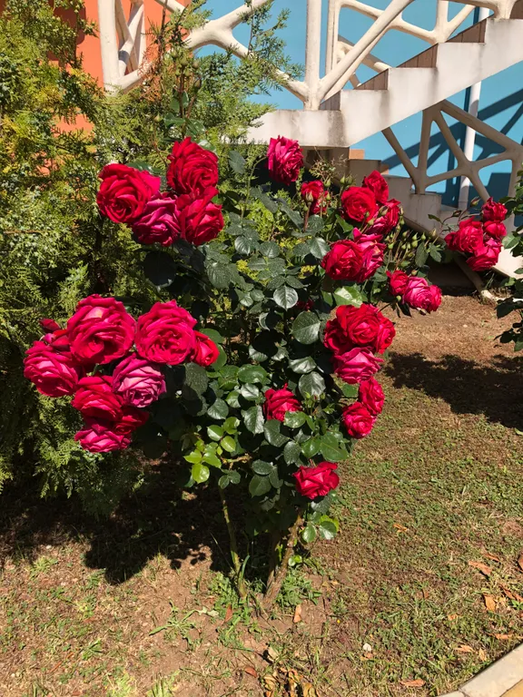 Квартира Апартаменты-студия у моря, свой бассейн — Севастополь