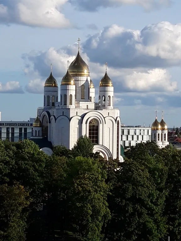 Квартира Апартаменты комфорт — Калининград