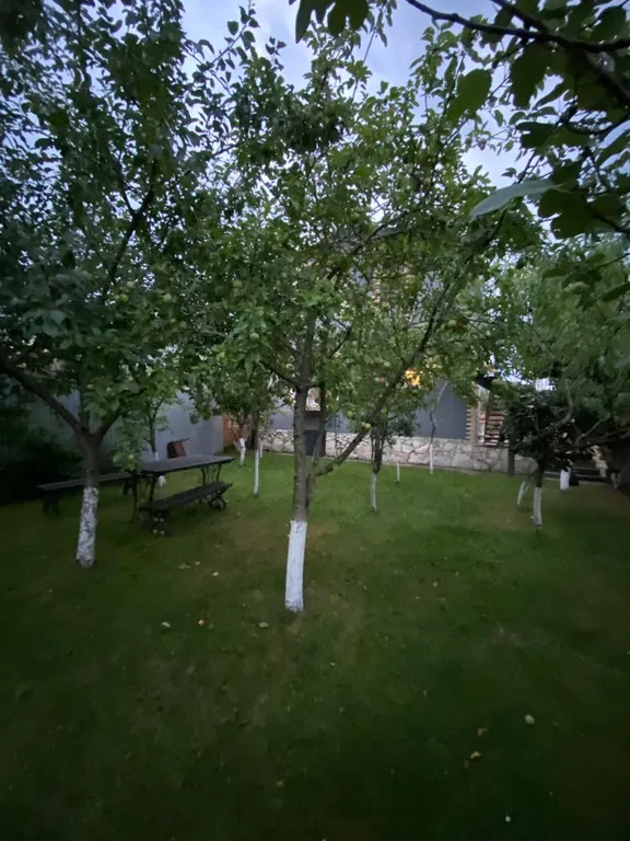 Уютный дом с красивым и вкусным фруктовым садом