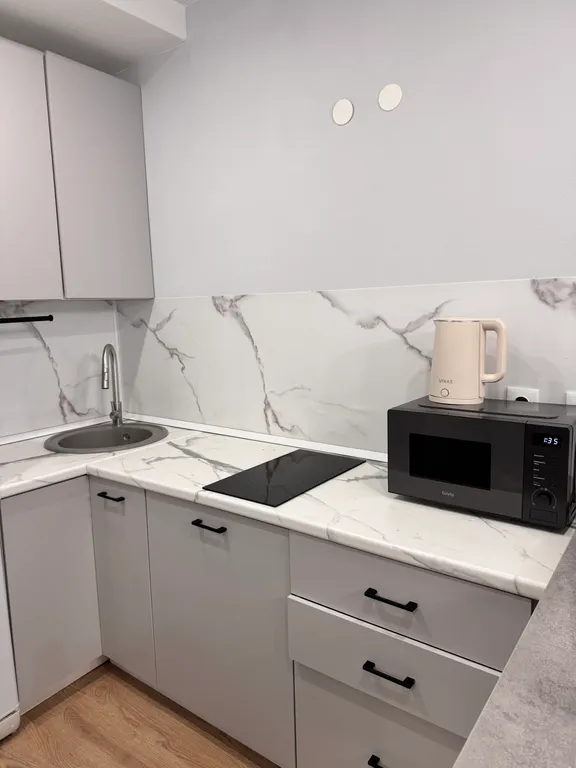 Квартира с проектором у МЦД Внуково