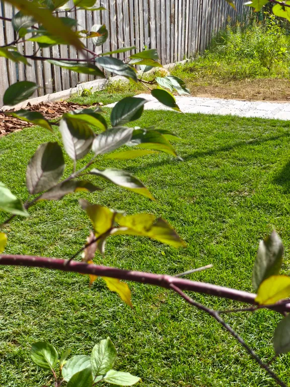 Барнхаус для отдыха у леса и реки