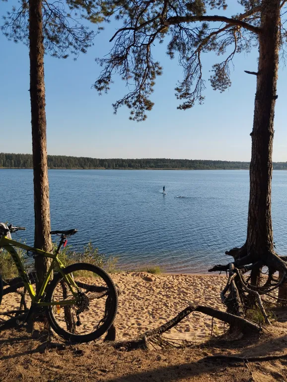 Дом в сосновом бору на озере
