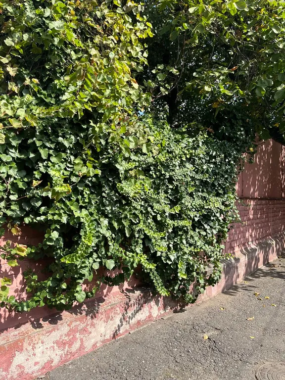 Дом в центре города