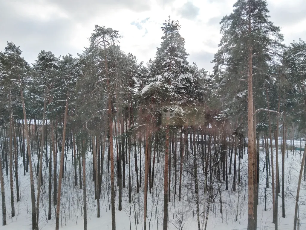 Уютная квартира рядом с платформой, ЖК в сосновом бору