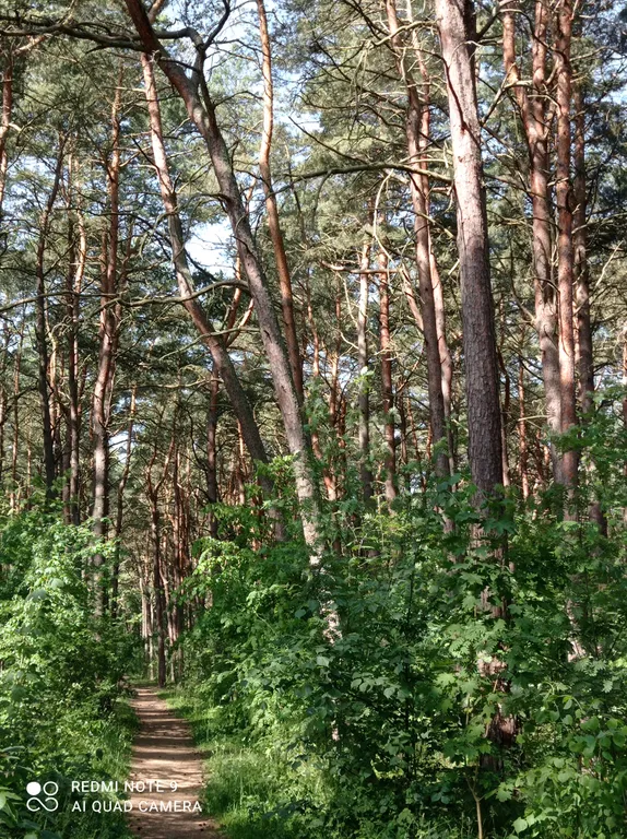 Домик у моря