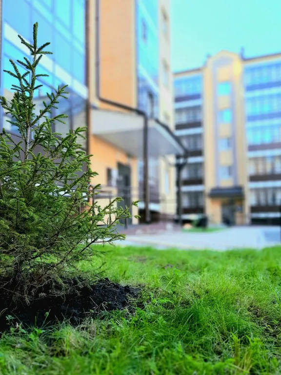 Максимально уютная квартира