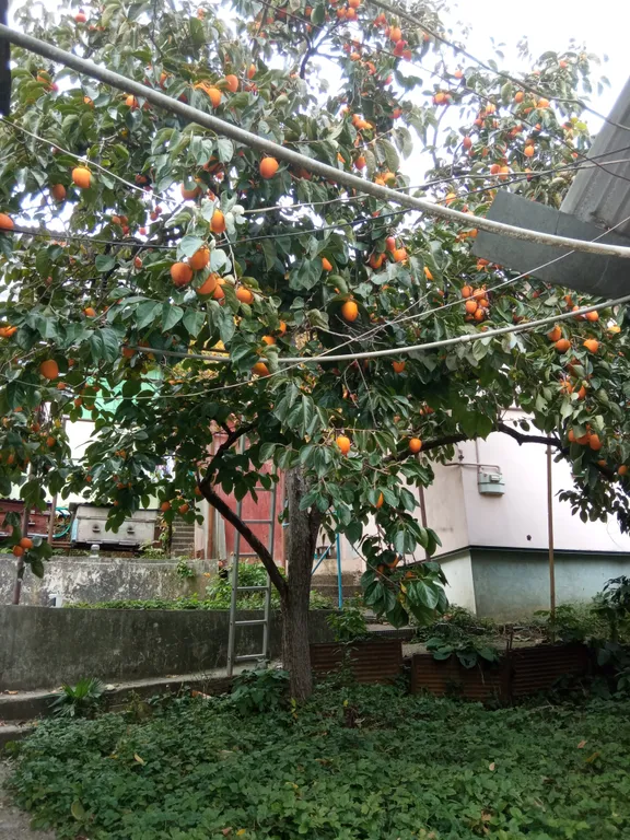 Уютная комната на 2 человека со всеми удобствами, центральный район