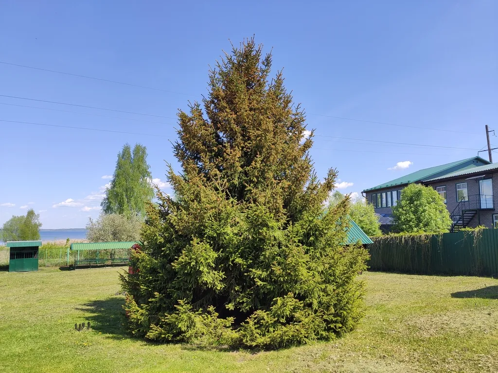 Коттедж 1-комнатный Дом — Веськово